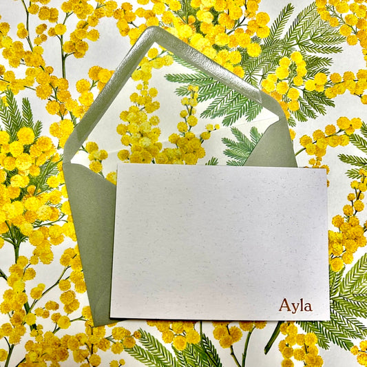 Mimosa, Box of 10
